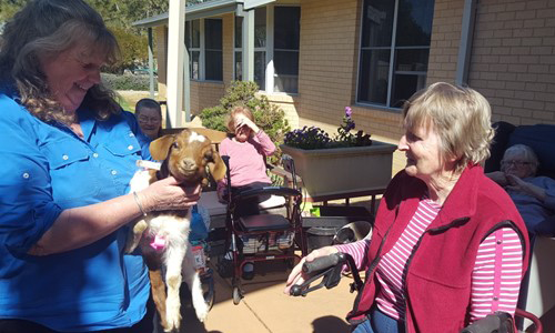Adina care woman holding lamb with care home resident