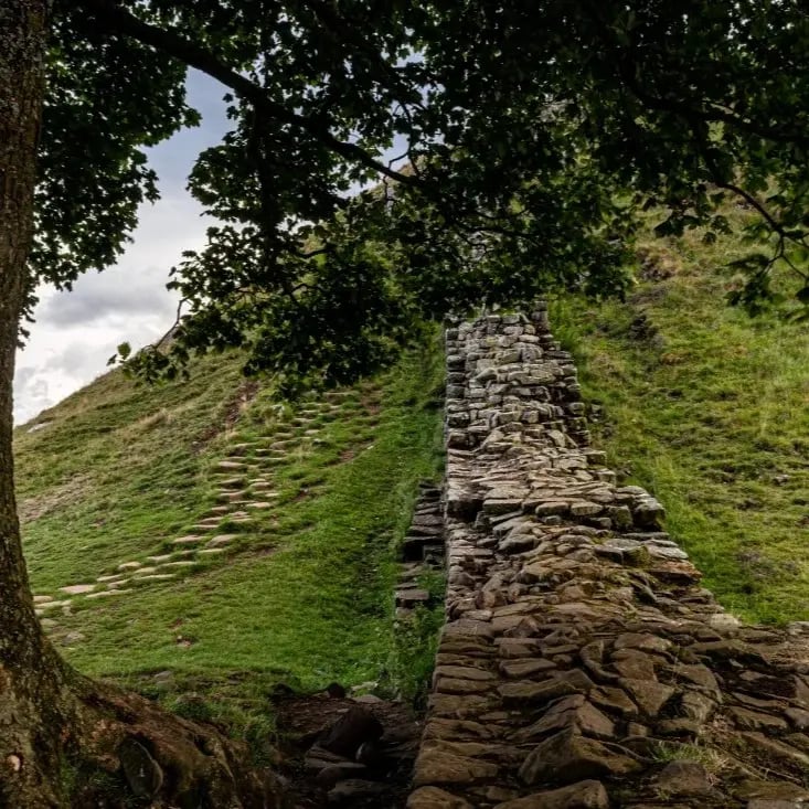 Hadrians wall 1x1