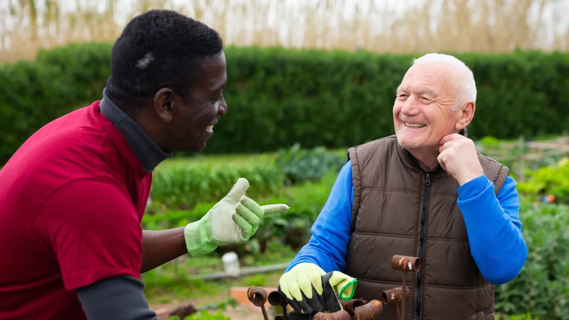 A younger man and older man chat while gardening together