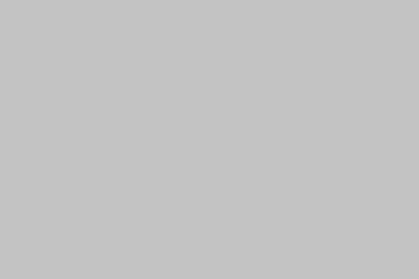 Placeholder grey