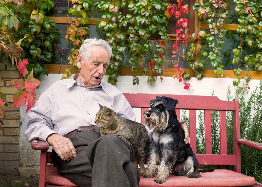 pet-therapy-care-home